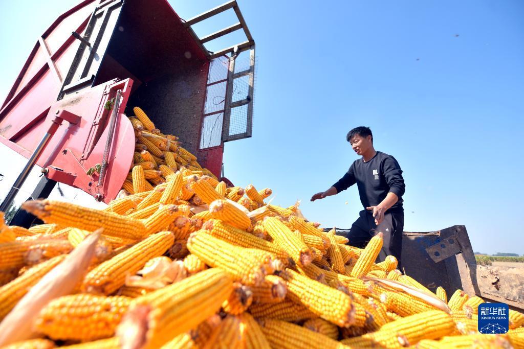 众发游戏怎么关了